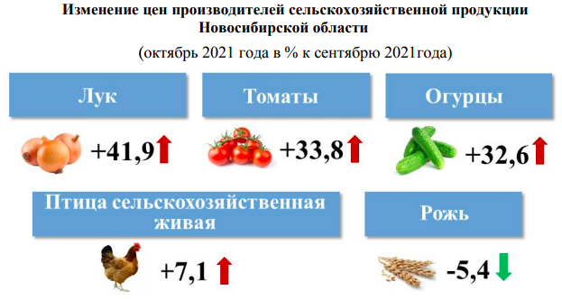 Фото В Новосибирской области резко выросли цены на овощи и мясо в октябре 2021 года 2
